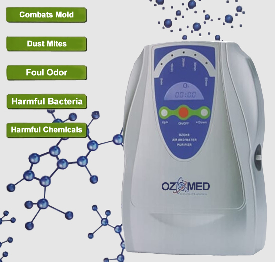 500mg Ozone Purification System